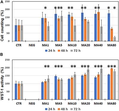 Biological Effects of Maslinic Acid on Human Epithelial Cells Used in Tissue Engineering